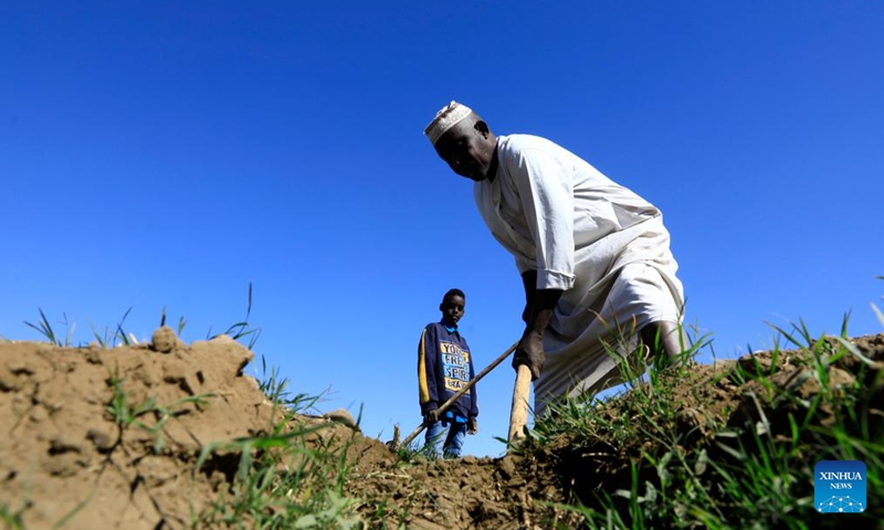 A Sudanese farmer prepares his farm for planting in Tomnar village in Dongola, Sudan, Nov. 30, 2024. Farmers in Sudan's Northern State are busy with agricultural production work as the winter farming season comes. The devastating war which has been going on between the Sudanese Armed Forces and the paramilitary Rapid Support Forces since April 2023, has gravely affected the agricultural sector. Photo: Xinhua