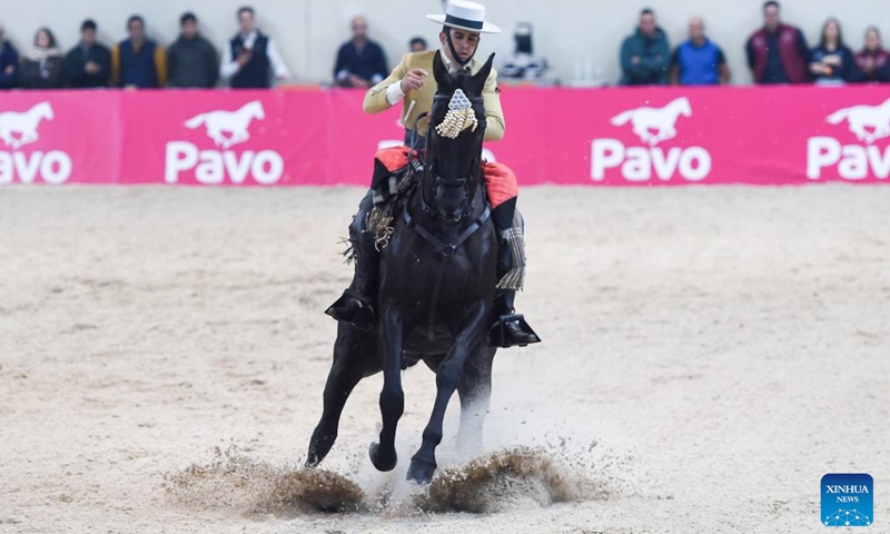 A rider participates in the 2024 Madrid Horse Week at IFEMA in Madrid, Spain, on Nov. 30, 2024. Photo: Xinhua