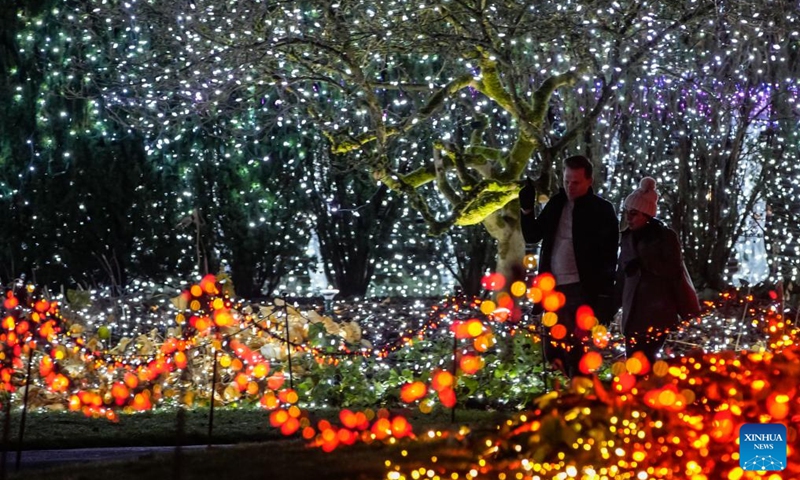 People enjoy light installations for the annual Festival of Lights event at VanDusen Botanical Garden in Vancouver, British Columbia, Canada, Nov. 29, 2024. The annual holiday tradition returned for its 40th anniversary and kicked off in Vancouver on Friday. Photo: Xinhua