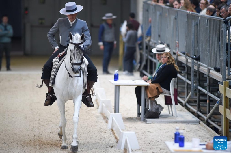 A rider participates in the 2024 Madrid Horse Week at IFEMA in Madrid, Spain, on Nov. 30, 2024. Photo: Xinhua