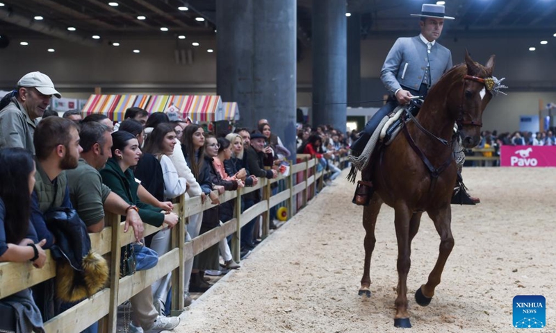 A rider participates in the 2024 Madrid Horse Week at IFEMA in Madrid, Spain, on Nov. 30, 2024. Photo: Xinhua