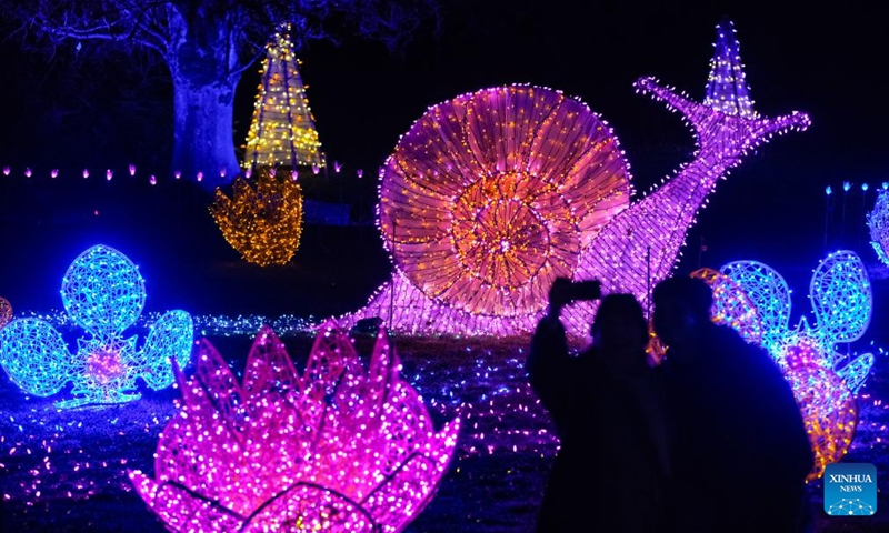 People enjoy light installations for the annual Festival of Lights event at VanDusen Botanical Garden in Vancouver, British Columbia, Canada, Nov. 29, 2024. The annual holiday tradition returned for its 40th anniversary and kicked off in Vancouver on Friday. Photo: Xinhua