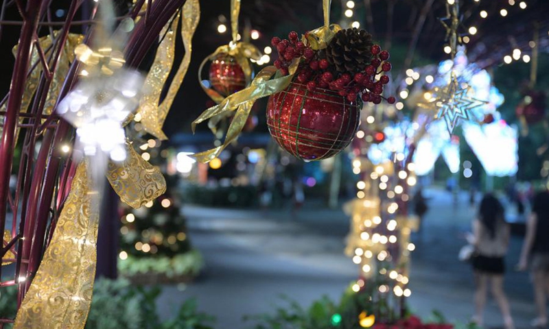 Photo taken on Dec. 1, 2024 shows Christmas Wonderland light decorations at Singapore's Gardens by the Bay. Photo: Xinhua