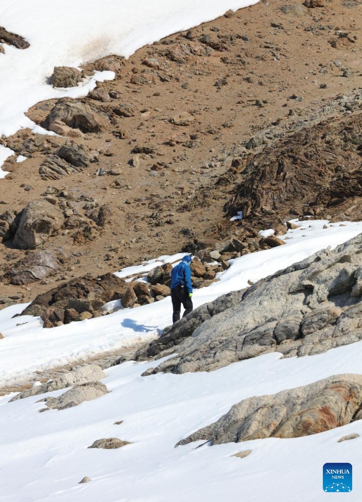 A Chinese researcher works in the field near China's Zhongshan Station in Antarctica, Dec. 1, 2024. (Photo: Xinhua)