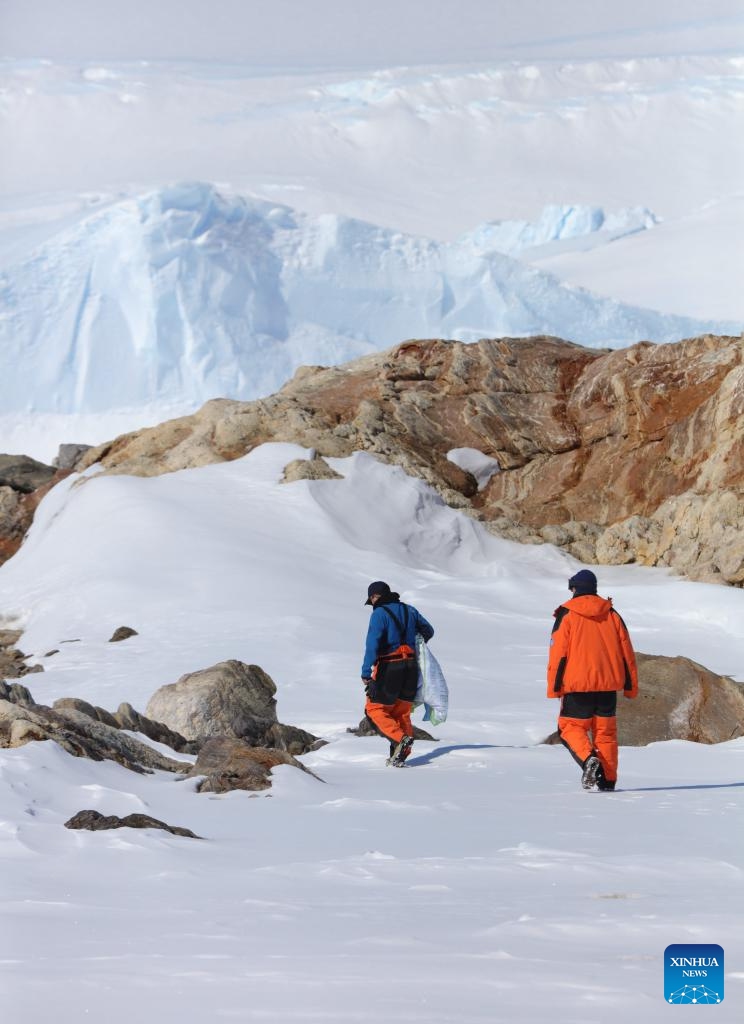 Chinese researchers work in the field near China's Zhongshan Station in Antarctica, Dec. 1, 2024. (Photo: Xinhua)