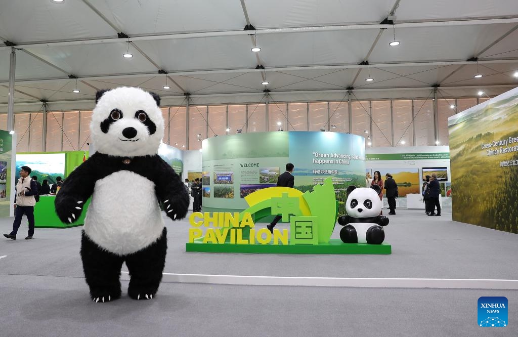 People visit the China Pavilion during the 16th Conference of the Parties (COP16) to the United Nations Convention to Combat Desertification (UNCCD) in Riyadh, Saudi Arabia, on Dec. 2, 2024. COP16, held from Dec. 2 to 13 under the theme Our Land. Our Future, is the largest UN land-focused conference to date and the first UNCCD COP in the Middle East and North Africa. (Photo: Xinhua)