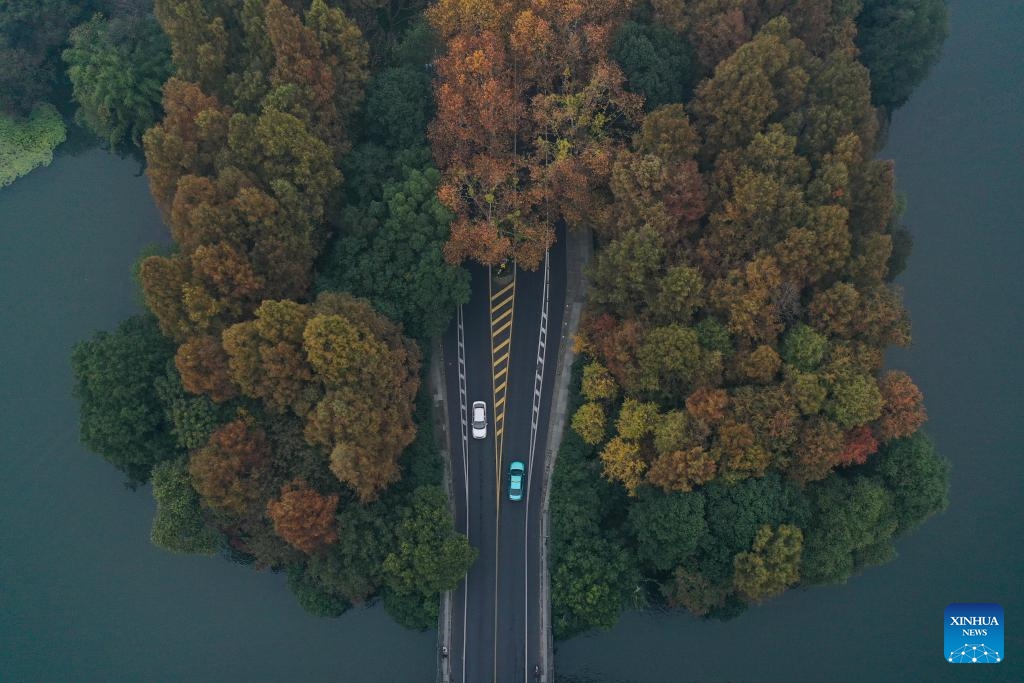 An aerial drone photo shows cars running on the Yanggongdi Causeway in the West Lake scenic area in Hangzhou, east China's Zhejiang Province, Dec. 3, 2024. (Photo: Xinhua)