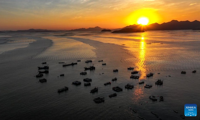 An aerial drone photo shows the sunset scenery in Sansha Town of Xiapu County, southeast China's Fujian Province, Nov. 29, 2024. Xiapu County is blessed with sinuate seashore along with numerous tidal flats, islands and reefs. Through coordinated strategies for both ecological conservation and economic development, the county has transformed itself into a stunning hub of thriving tourism industry. Photo: Xinhua