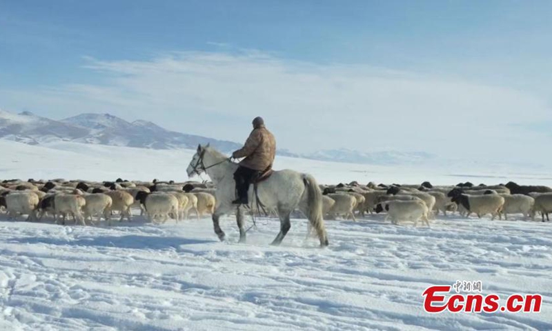 Herders drive livestock on the way to winter pastures on Bayanbulak Grassland in Hejing County, northwest China's Xinjiang Uyghur Autonomous Region. Photo: China News Service


