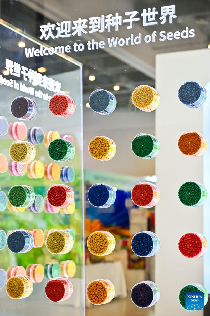 This photo taken on Dec. 3, 2024 shows seeds installations at the Asian Seed Congress in Sanya, south China's Hainan Province. Photo: Xinhua