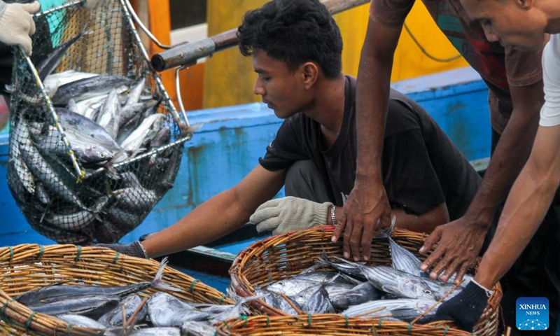 Fishermen unload fish from net in Banda Aceh, Aceh Province, Indonesia, Dec. 7, 2024.  (Photo: Xinhua)