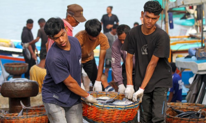 Workers unload a basket of fish in Banda Aceh, Aceh Province, Indonesia, Dec. 7, 2024. (Photo: Xinhua)