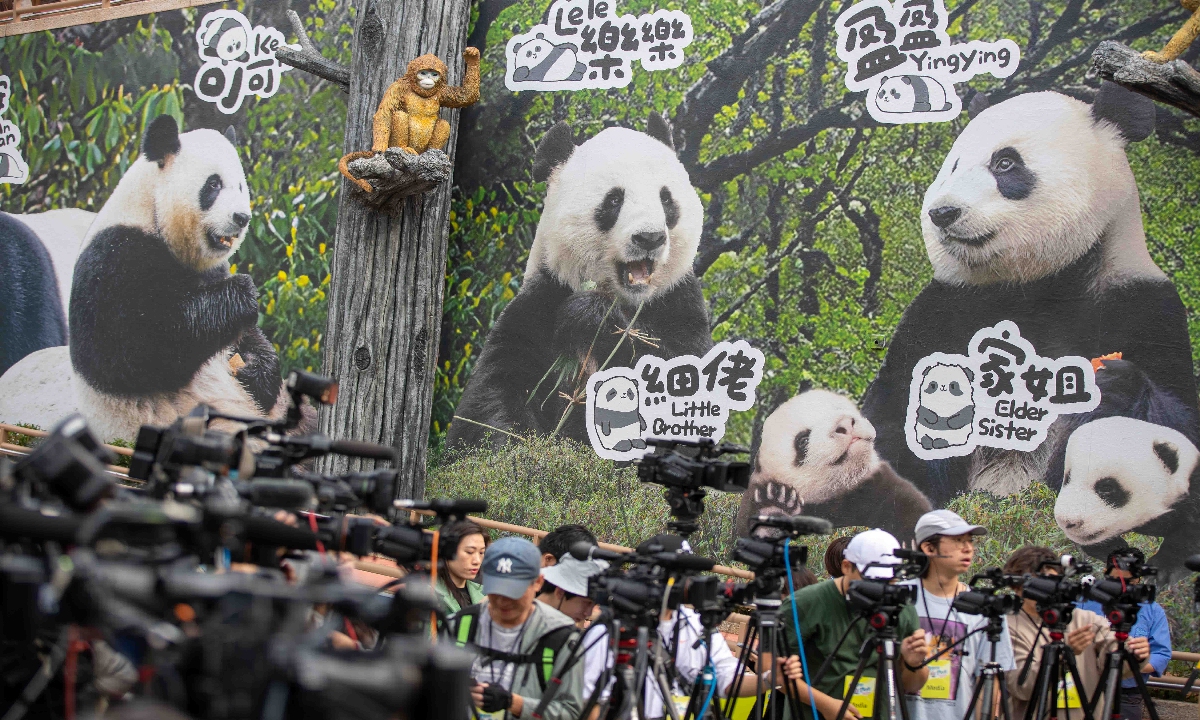 Media staff gather at Ocean Park in Hong Kong for the public debut of two giant pandas An An and Ke Ke gifted by the central government to Hong Kong on December 8, 2024, after a two-month quarantine and adaptation period. Photo: VCG