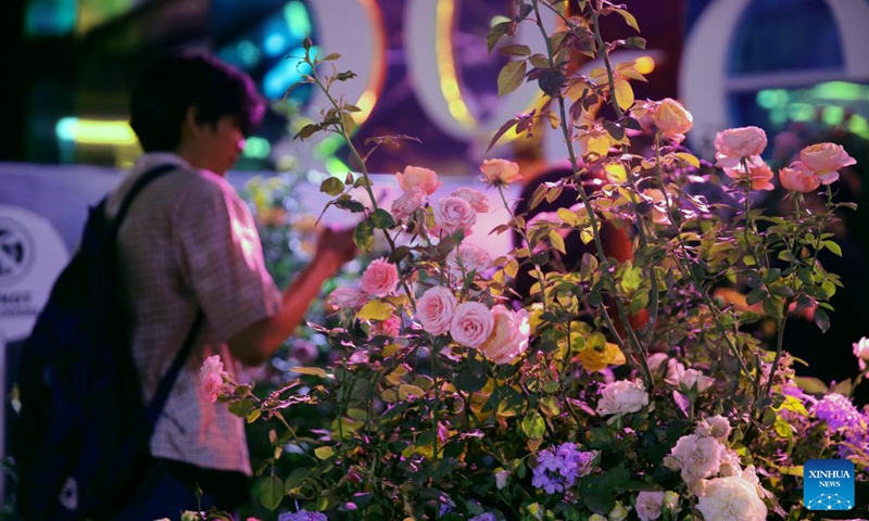 Roses are seen at a rose exhibition at Paragon shopping mall in Bangkok, Thailand, Dec. 7, 2024. Photo: Xinhua