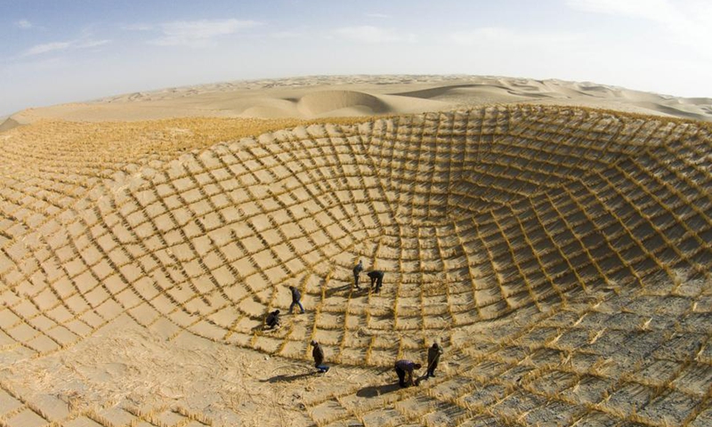 People fix straw checkerboards on sandy land in Qiemo County, northwest China's Xinjiang Uygur Autonomous Region, Oct. 6, 2014. Photo: Xinhua