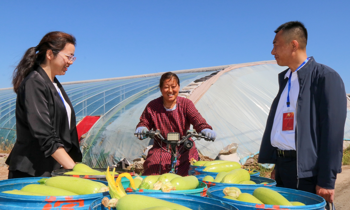 Two discipline inspection officers from Liaocheng, East China's Shandong Province talk with residents in Yetun village in Fengguantun township on May 15, 2024, to learn about the implementation of preferential policies for farmers. Photo: VCG