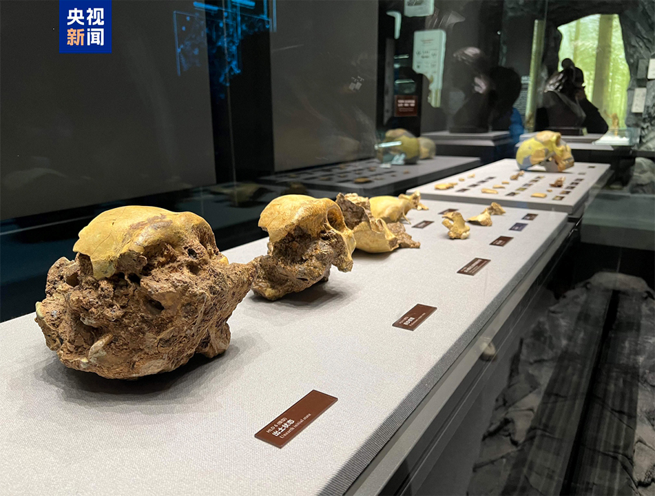 A number of 300,000-year-old human fossils from Hualongdong site in East China's Anhui Province have been identified as the earliest archaic humans in East Asia to transition toward modern Homo sapiens. Photo: CCTV News