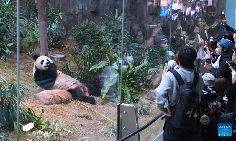 Visitors take pictures of a giant panda at Ocean Park Hong Kong in Hong Kong, south China, Dec. 8, 2024. Giant pandas An An and Ke Ke gifted by the central government to the Hong Kong Special Administrative Region (HKSAR) made their public debut at Ocean Park Hong Kong on Sunday. Photo: Xinhua