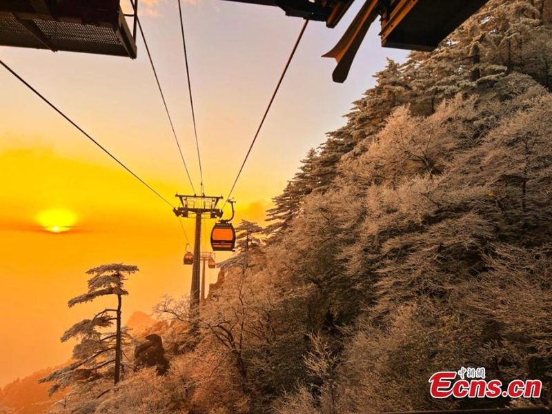 Landscape of rime-covered trees on the Huangshan Mountain scenic spot in east China's Anhui Province, Dec. 8, 2024. Photo: China News Service