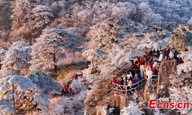 Landscape of rime-covered trees on the Huangshan Mountain scenic spot in east China's Anhui Province, Dec. 8, 2024. Photo: China News Service