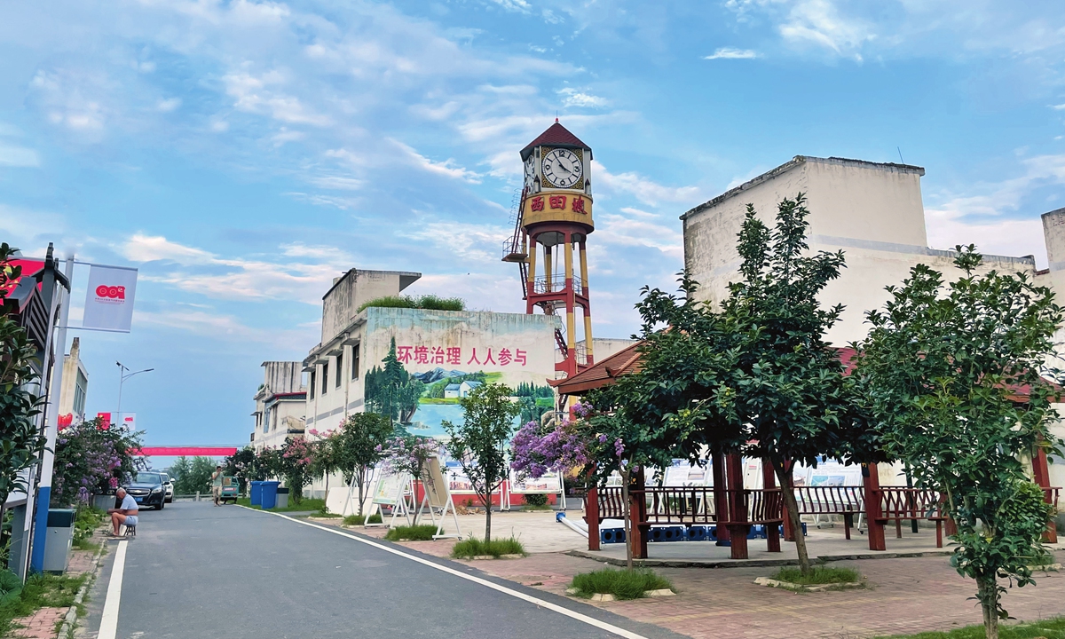 A street view of Xitianpo zhuangtai, Limin village of Funan county, Fuyang, East China's Anhui Province Photo: Courtesy of China Rural Revitalization magazine