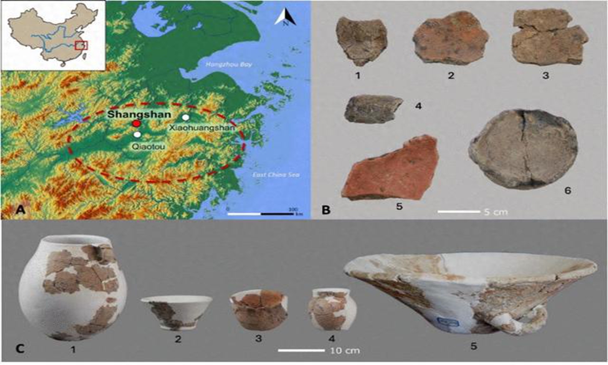 New evidence of East Asia's earliest rice beer was recently found in China. Researchers revealed 10,000-year-old fermentation techniques at Shangshan site, East China's Zhejiang Province. Photo: Screenshot from the website