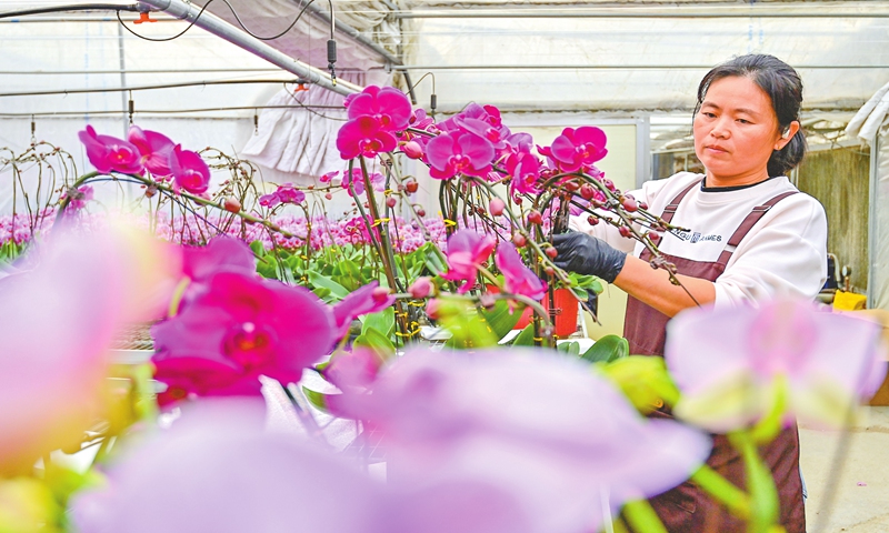 A worker prepares an online flower order at a company in Qingzhou, East China's Shandong Province on December 11, 2024. In Qingzhou, known as the 