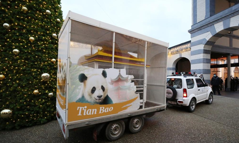 A vehicle transporting giant panda Tian Bao leaves Pairi Daiza zoo in Brugelette, Belgium, Dec. 10, 2024. (Photo: Xinhua)