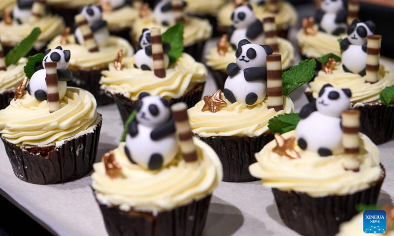 This photo taken on Dec. 10, 2024 shows panda-shaped cupcakes at Pairi Daiza zoo in Brugelette, Belgium. (Photo: Xinhua)