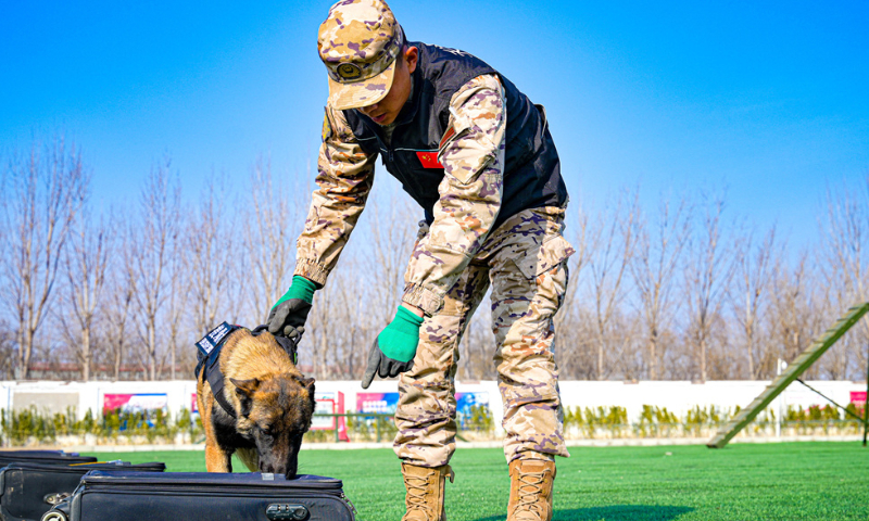 A military dog assigned to the Chinese People's Armed Police Force (PAP) Tianjin Corps follows instruction to inspect suspicious luggage during a multi-subject training exercise on December 9, 2024. (eng.chinamil.com.cn/Photo by Gong Xu)