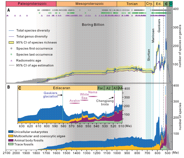 A high-resolution biodiversity curve spanning from 2 billion to 500 million years ago 