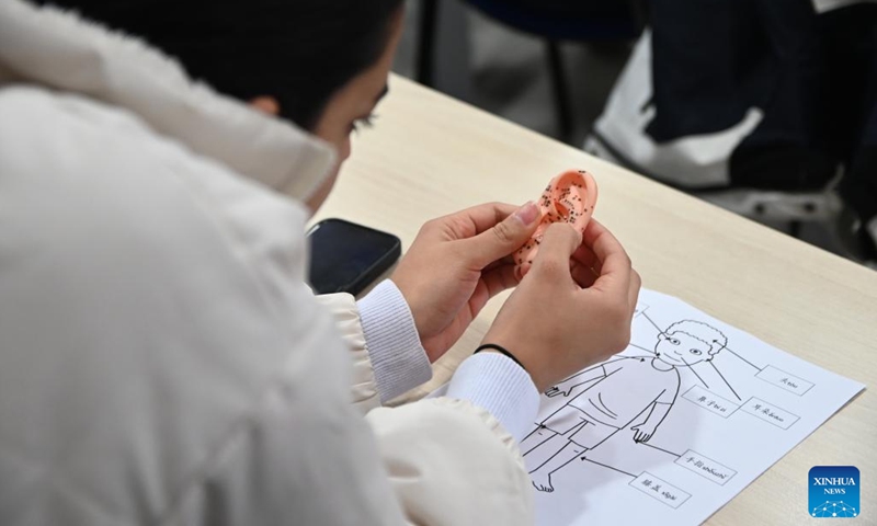 A student looks at an auricular acupoint model at the University of Malta in Msida, Malta, on Dec. 11, 2024.  (Photo: Xinhua)