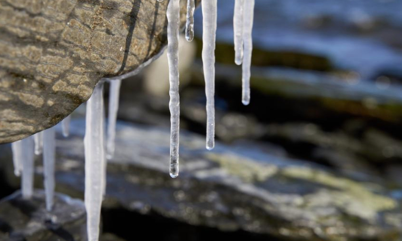 This photo taken on Dec. 18, 2024 shows icefalls by the sea in Vladivostok, Russia. As the temperature continues to drop in winter, massive icefalls are formed on the seashore of Vladivostok. (Photo by Guo Feizhou/Xinhua)