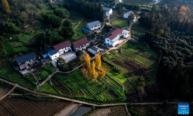 An aerial drone photo taken on Dec. 11, 2024 shows a view of Tianfu Town of Beibei District, southwest China's Chongqing Municipality. In recent years, the town of Tianfu, with unique natural scenery as well as abundant resources for cultural tourism in its countryside, has promoted the improvement of village environment and the upgrading of infrastructure. The town has transformed vacant rural houses into a group of high-quality homestays, which not only accommodate tourists with an immersive rural experience, but also bring lucrative job opportunities to local villagers. (Xinhua/Liu Chan)