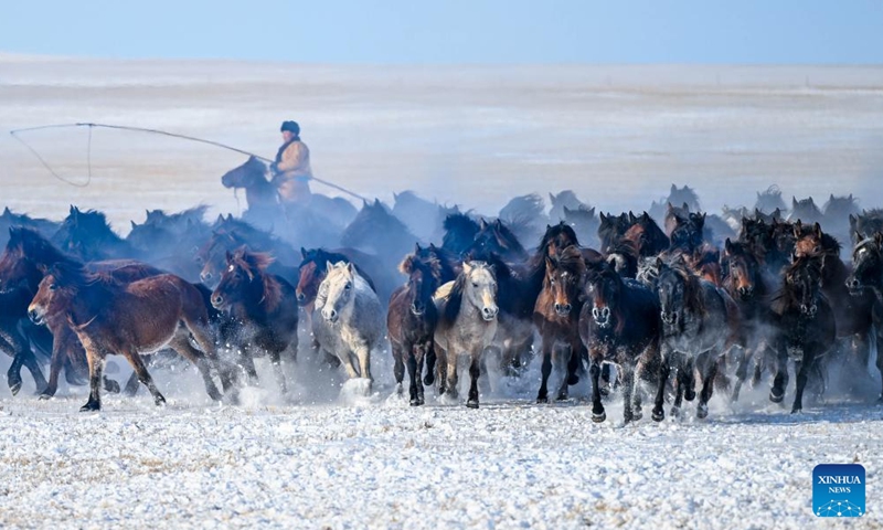 A herdsman tames horses on snow-covered grassland in East Ujimqin Banner of Xilingol League, north China's Inner Mongolia Autonomous Region, Dec. 12, 2024. (Xinhua/Peng Yuan)