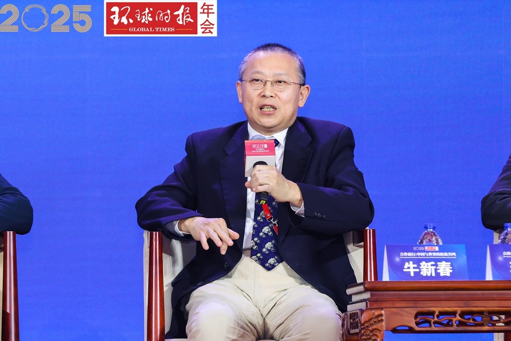 Niu Xinchun, executive director of the China-Arab Research Institute of Ningxia University Photo: GT