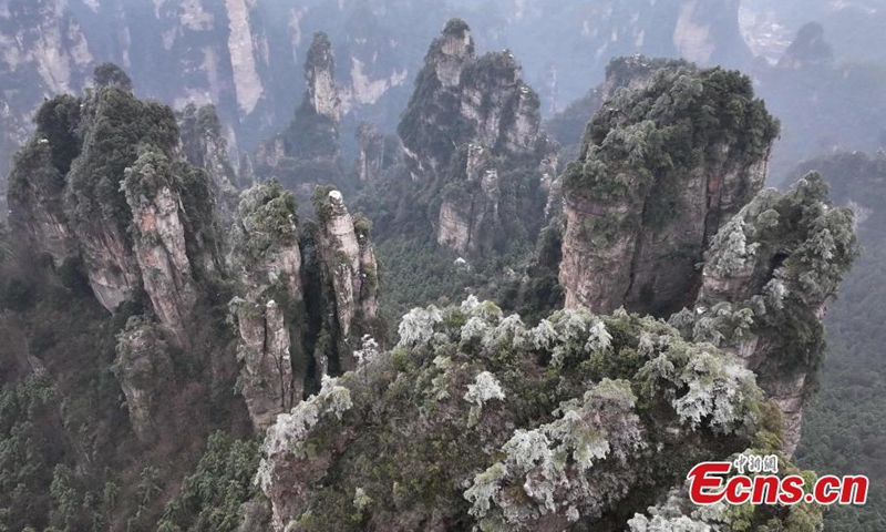 Rime-covered forest at Zhangjiajie National Forest Park, a UNESCO world heritage site, looks like an ink wash painting at Huangshi Village, central China's Hunan Province, Dec. 11, 2024. (Photo: China News Service)