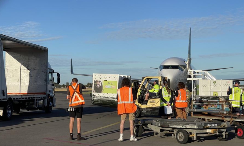 Giant pandas, Xingqiu and Yilan, arrive in Adelaide, Australia, Dec. 15, 2024. (Photo by Lv Wei/Xinhua)