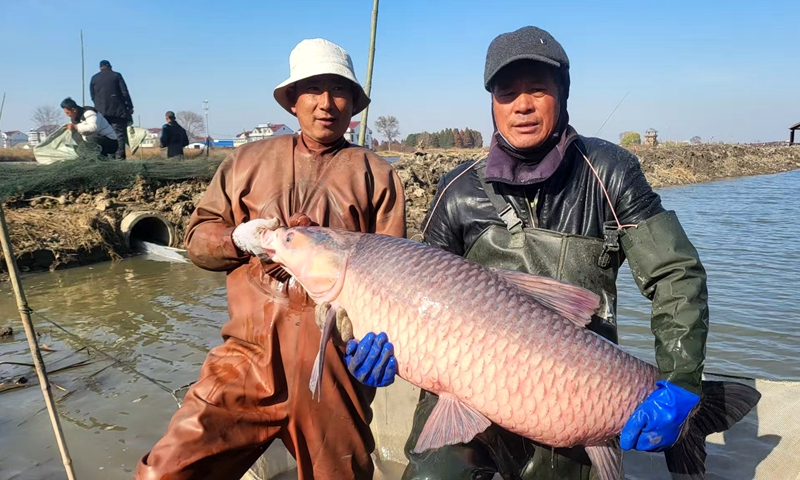 Two fishermen show off their catch in Guanyun county, Lianyungang, East China's Jiangsu Province, on December 16, 2024. The fish caught by fishermen will supply the local market to promote the high-quality development of ecological fishing. Photo: VCG