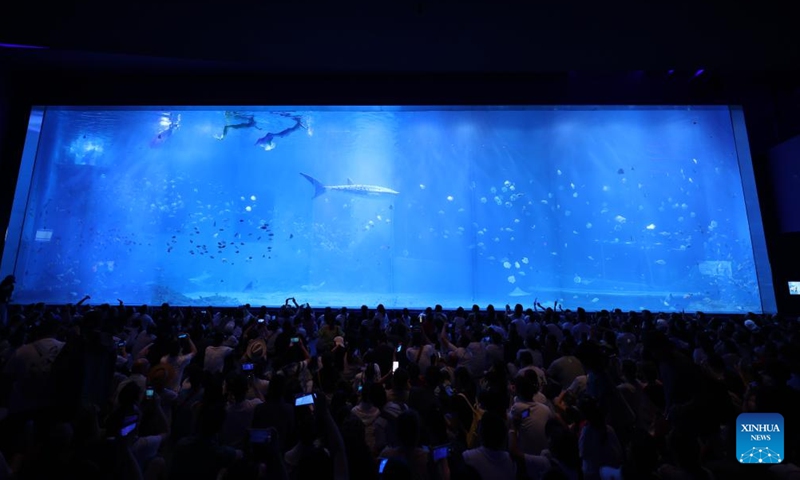 A robotic whale shark swims in a tank at Xiaomeisha Sea World in Shenzhen, south China's Guangdong Province, Sept. 22, 2024.(Xinhua)