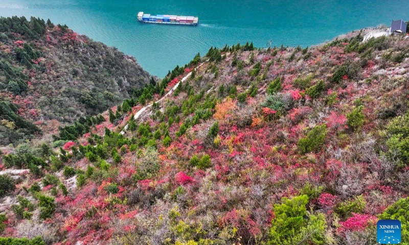 An aerial drone photo shows a ship sailing in Qutang Gorge, one of the Three Gorges on the Yangtze River, in Fengjie County, southwest China's Chongqing Municipality, Dec. 19, 2024. (Xinhua/Wang Quanchao)