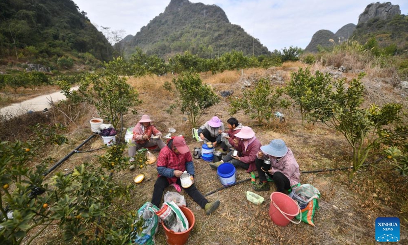 A group of women have lunch after harvesting work at an orchard in Shuiyuan Village of Liujiang District, Liuzhou City, south China's Guangxi Zhuang Autonomous Region, Dec. 18, 2024. In recent years, Liujiang District of Liuzhou City has made efforts to develop local characteristic agriculture to provide more jobs for rural women. (Xinhua/Huang Xiaobang)