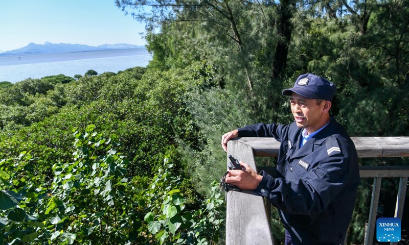 A forest ranger patrols at Futian mangrove wetland in Shenzhen City, south China's Guangdong Province, Nov. 29, 2024.(Xinhua/Liang Xu)