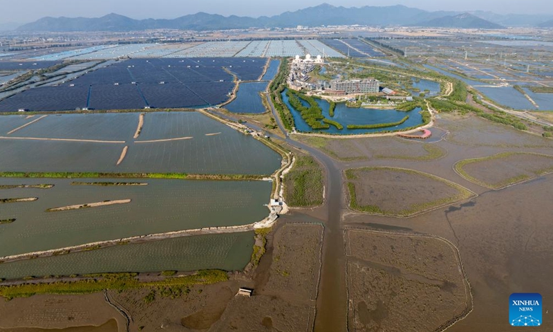 An aerial drone photo shows the Wencun section of a mangrove conservation and restoration project in Taishan City, south China's Guangdong Province, Dec. 18, 2024.(Xinhua/Wu Zhizun)