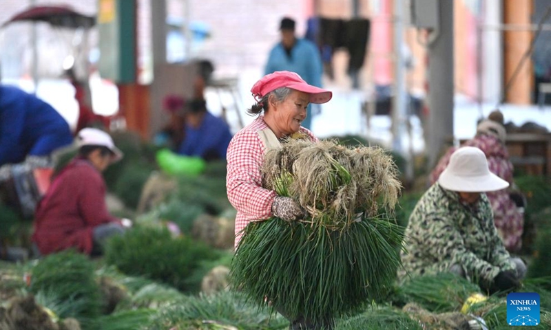 A woman carries a bundle of chives at a market in Sandu Town in Liujiang District of Liuzhou City, south China's Guangxi Zhuang Autonomous Region, Dec. 18, 2024. In recent years, Liujiang District of Liuzhou City has made efforts to develop local characteristic agriculture to provide more jobs for rural women. (Xinhua/Huang Xiaobang)