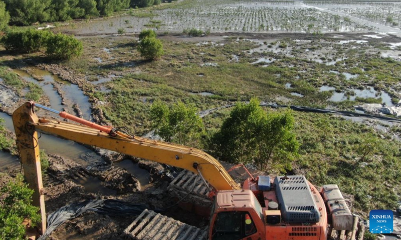 An aerial drone photo shows the Wencun section of a mangrove conservation and restoration Project in Taishan City, south China's Guangdong Province, Dec. 18, 2024.(Xinhua/Deng Hua)