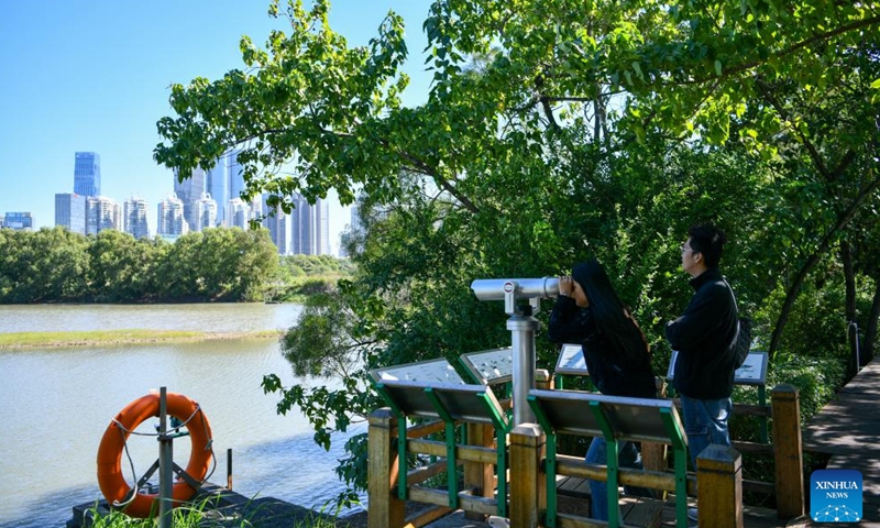 Tourists observe migrant birds at Futian mangrove wetland in Shenzhen City, south China's Guangdong Province, Nov. 29, 2024.(Xinhua/Liang Xu)