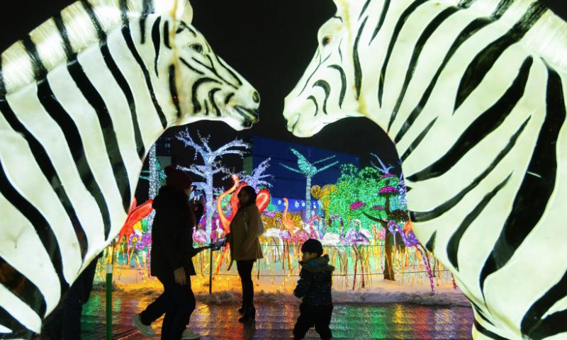 People visit a light show in Mississauga, Ontario, Canada, on Dec. 24, 2024.

Featuring 16 magical-themed exhibition areas, the outdoor light show named The Holidays At Illumi kicked off here on Nov. 15, 2024, and will last until Jan. 5, 2025. (Photo by Zou Zheng/Xinhua)