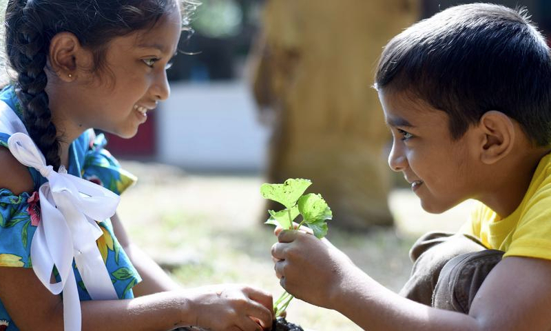 Children plant a sapling on World Soil Day in Gampaha, Sri Lanka on Dec. 5, 2024. (Photo by Gayan Sameera/Xinhua)