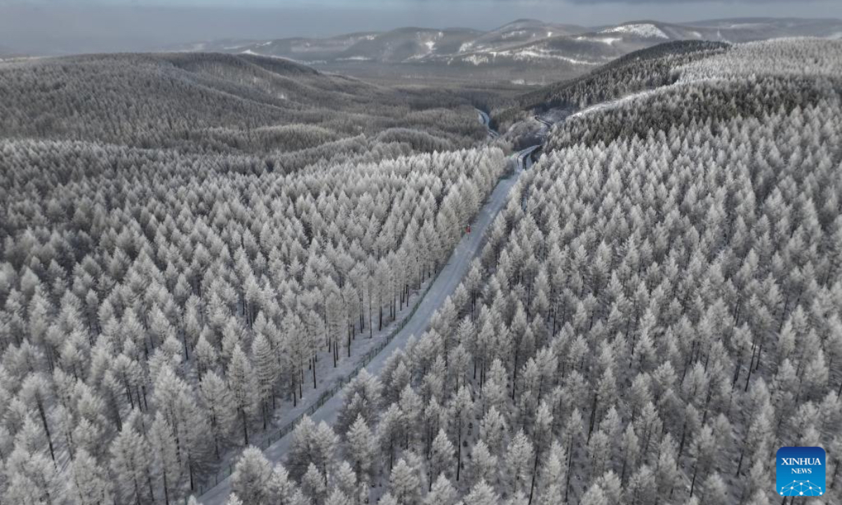 An aerial drone photo taken on Dec. 27, 2024 shows a winter view of the Saihanba National Forest Park in Chengde City, north China's Hebei Province. (Photo: Xinhua)